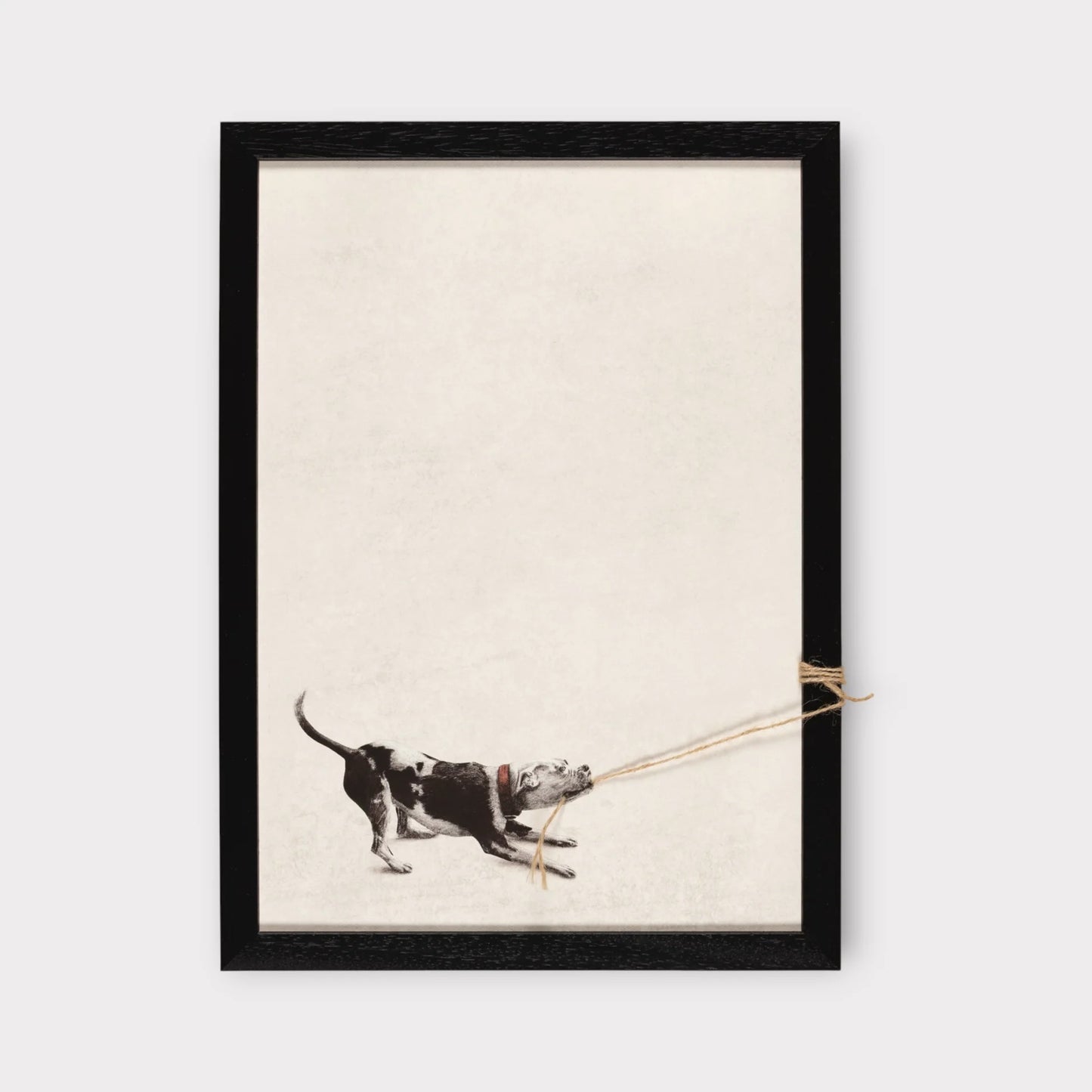 Tiny Tugger dog -2025