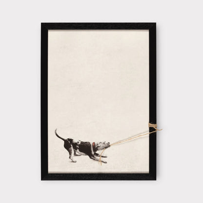 Tiny Tugger dog -2025