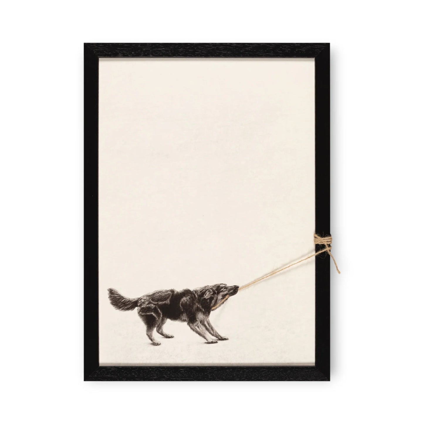 Tiny Tugger dog -2025