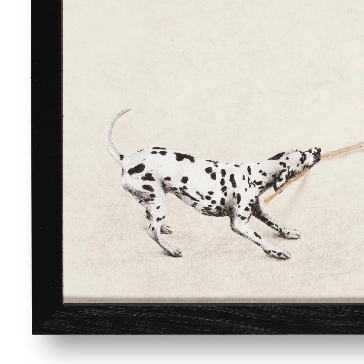 Tiny Tugger dog -2025