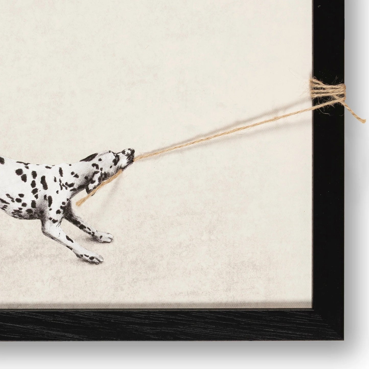 Tiny Tugger dog -2025