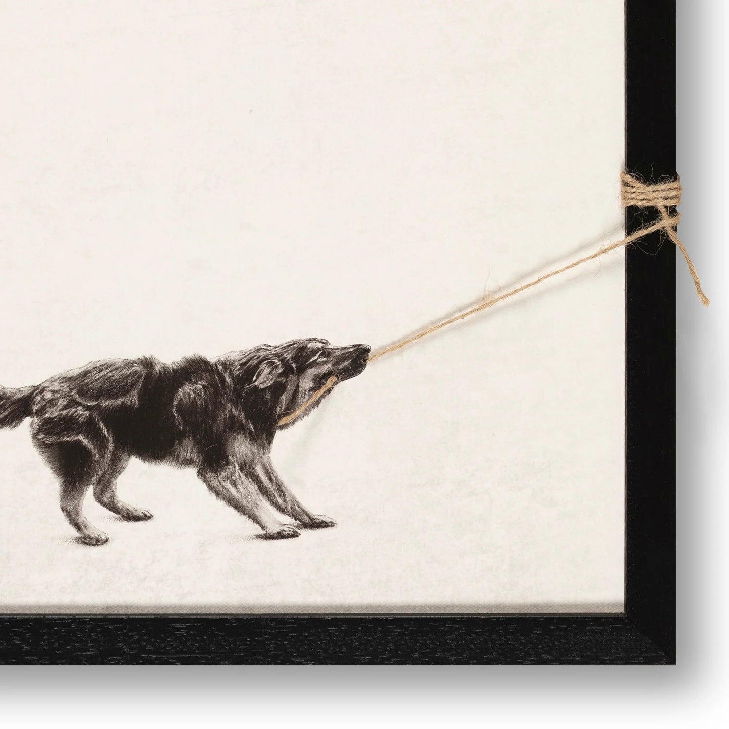 Tiny Tugger dog -2025