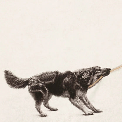 Tiny Tugger dog -2025