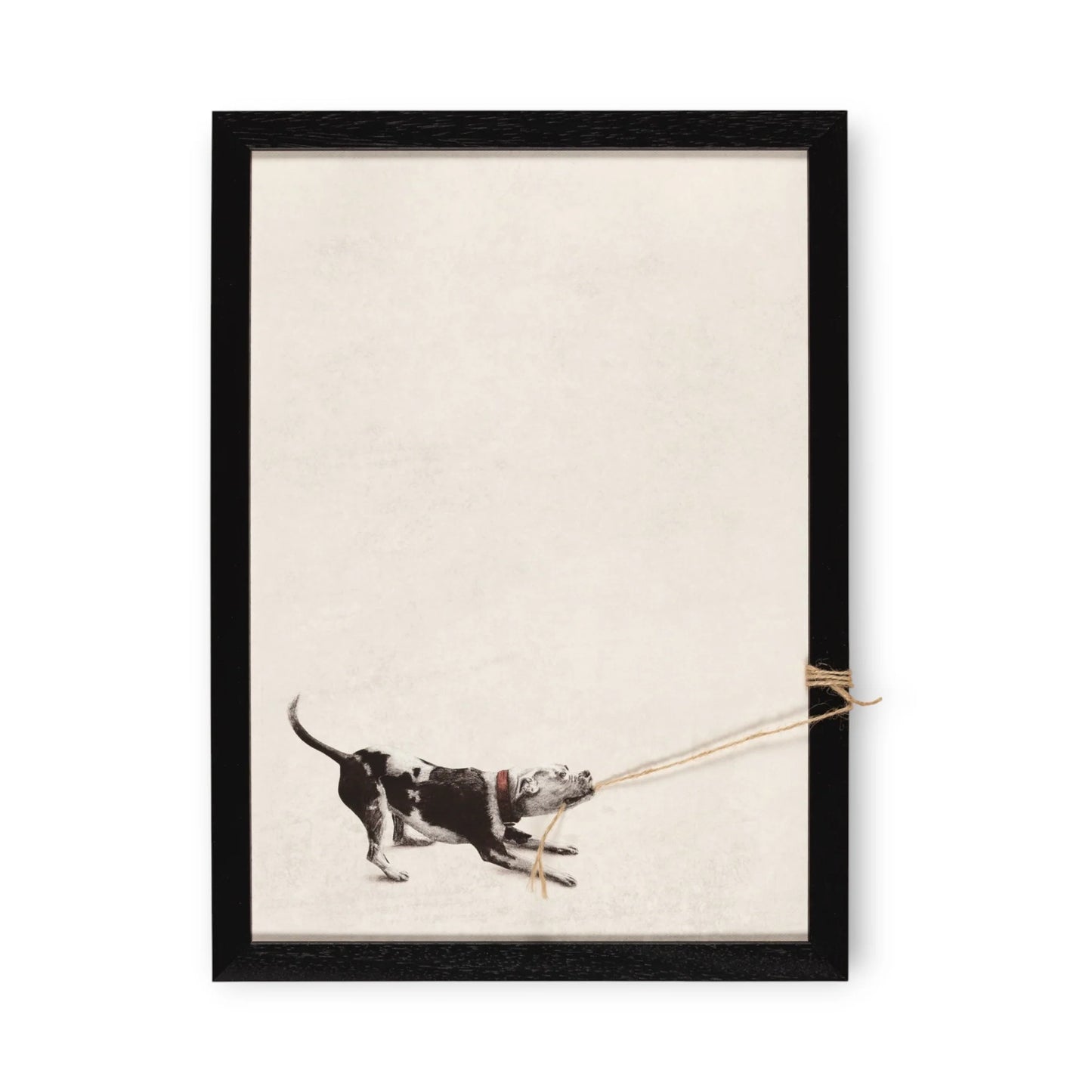 Tiny Tugger dog -2025