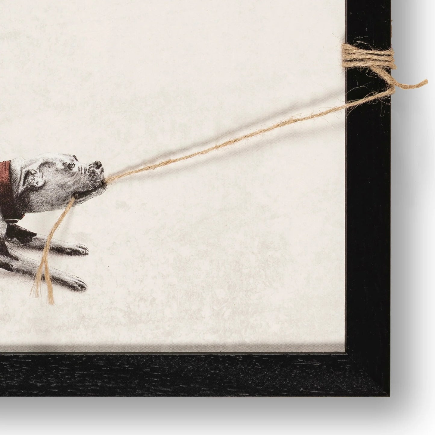 Tiny Tugger dog -2025